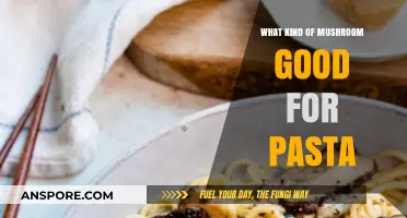 Best Mushrooms for Pasta: Enhance Your Dish with These Top Varieties