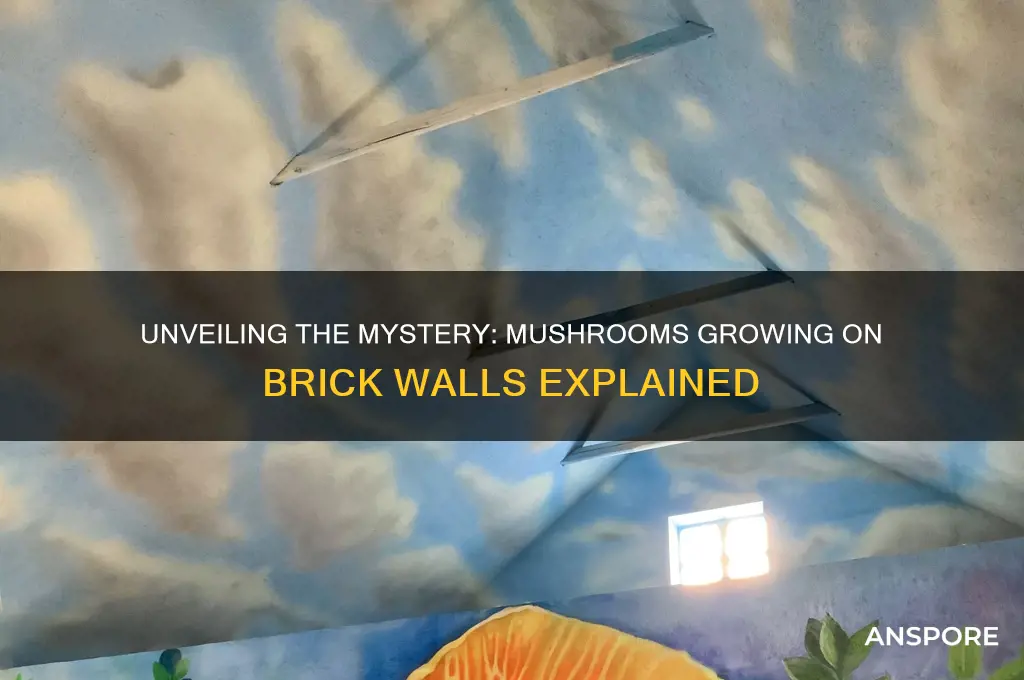 what kind of mushroom grows on brick wall