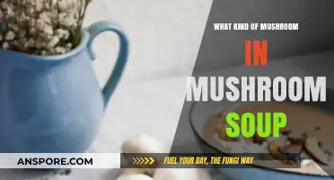 Exploring the Best Mushroom Varieties for Creamy Mushroom Soup Recipes