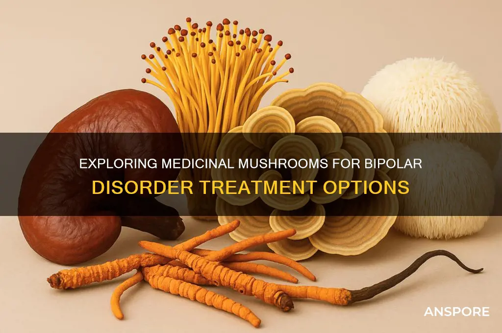 what kind of mushroom is good for treatment bipolar