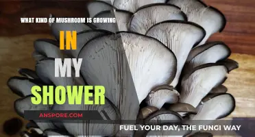 Identifying Unwanted Shower Mushrooms: Causes, Risks, and Removal Tips
