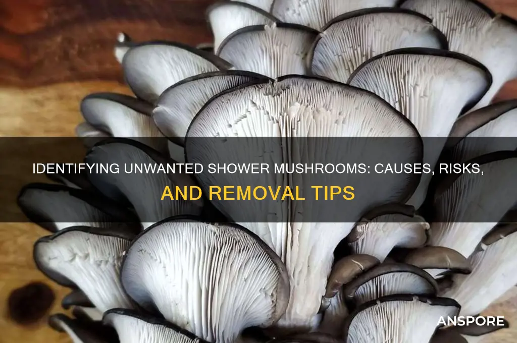 what kind of mushroom is growing in my shower