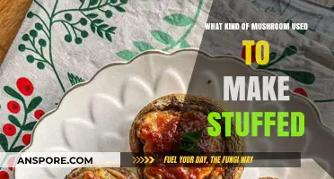 Delicious Stuffed Mushrooms: Best Varieties for Flavorful Fillings
