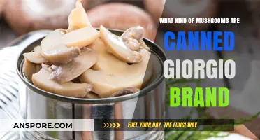 Giorgio Brand Canned Mushrooms: Varieties, Uses, and Nutritional Benefits