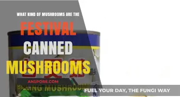 Festival Canned Mushrooms: Unveiling the Varieties Inside the Tin