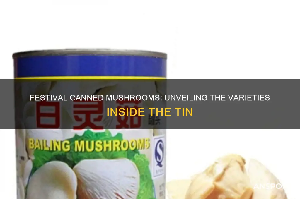 what kind of mushrooms are the festival canned mushrooms