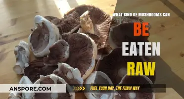 Safe Raw Mushroom Varieties: A Guide to Edible Fungi Consumption