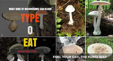 Blood Type O Diet: Safe and Nutritious Mushrooms to Enjoy