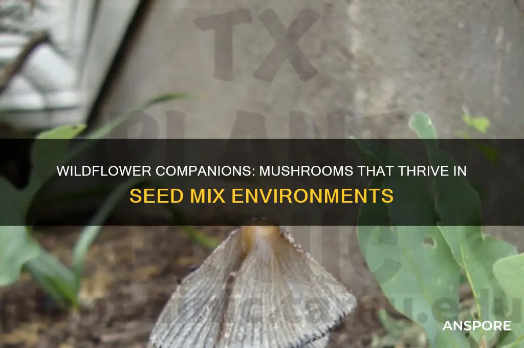 what kind of mushrooms can grow in wildflower seed mix