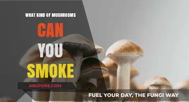 Exploring the Risks and Realities of Smoking Mushrooms: What You Need to Know