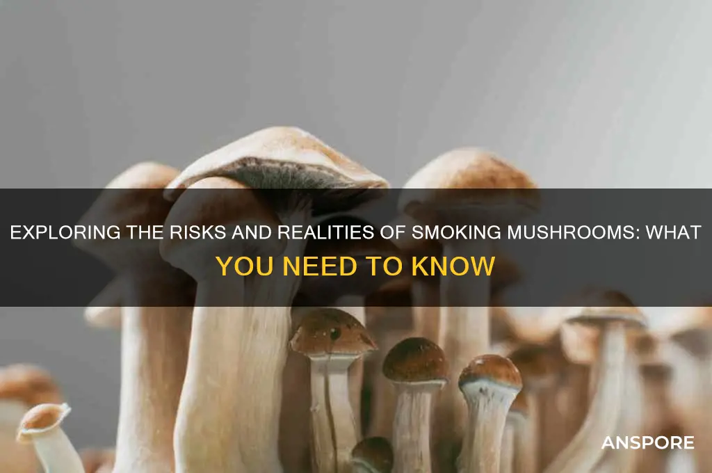 what kind of mushrooms can you smoke