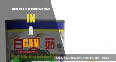 Exploring Canned Mushroom Varieties: Types, Uses, and Culinary Benefits