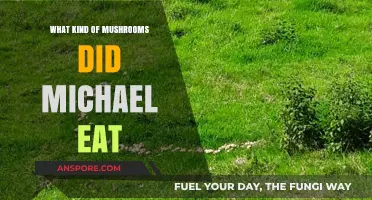 Michael's Mushroom Mystery: Unveiling the Fungi He Consumed