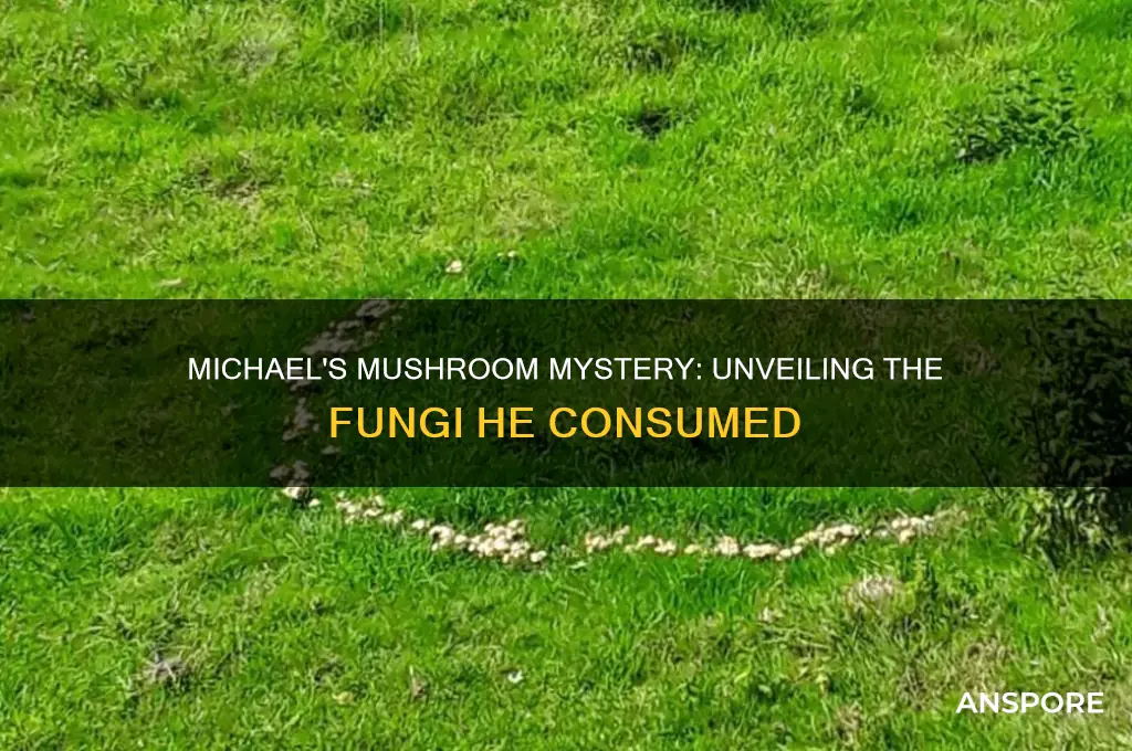 what kind of mushrooms did michael eat