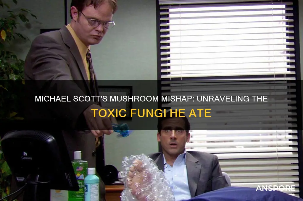 what kind of mushrooms did michael scott eat