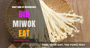 Exploring Miwok Cuisine: Traditional Mushrooms in Their Diet