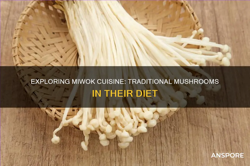 what kind of mushrooms did miwok eat