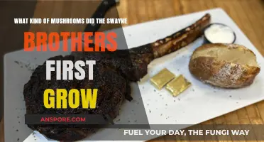 The Swayne Brothers' Pioneering Mushroom Cultivation: Their First Grown Variety