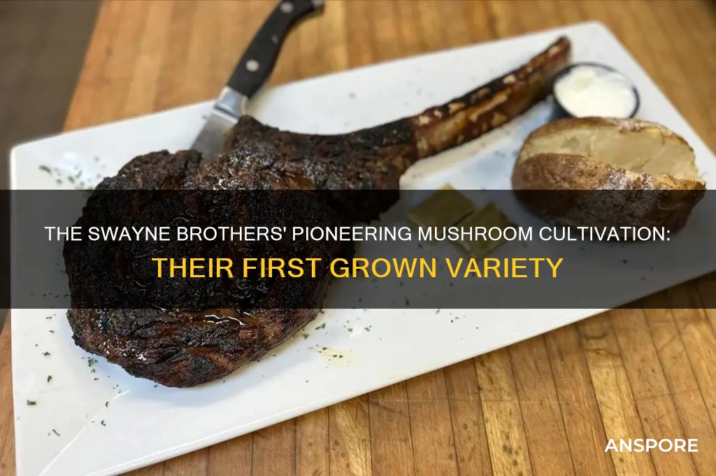 what kind of mushrooms did the swayne brothers first grow
