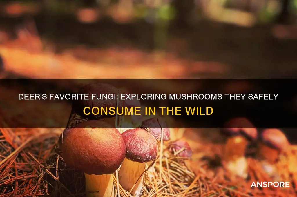what kind of mushrooms do deer eat