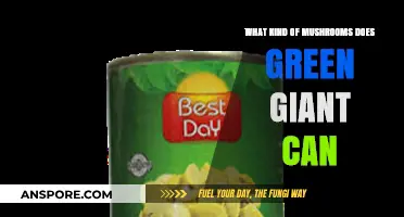 Green Giant's Canned Mushroom Varieties: A Comprehensive Guide