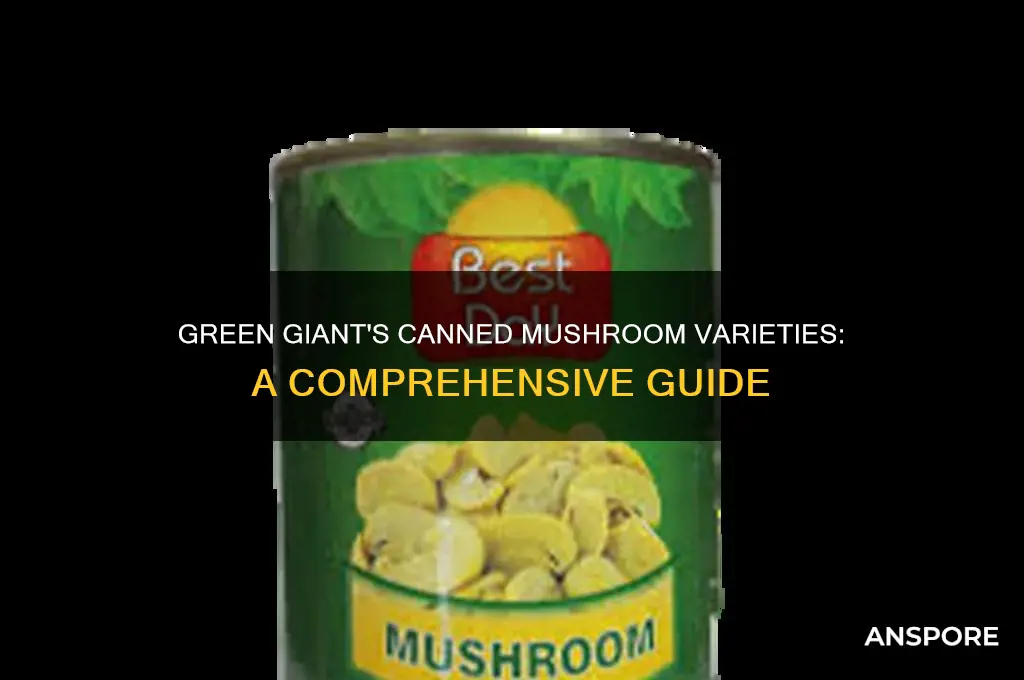 what kind of mushrooms does green giant can