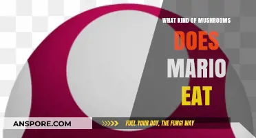 What Kind of Mushrooms Does Mario Eat? Exploring the Iconic Power-Ups