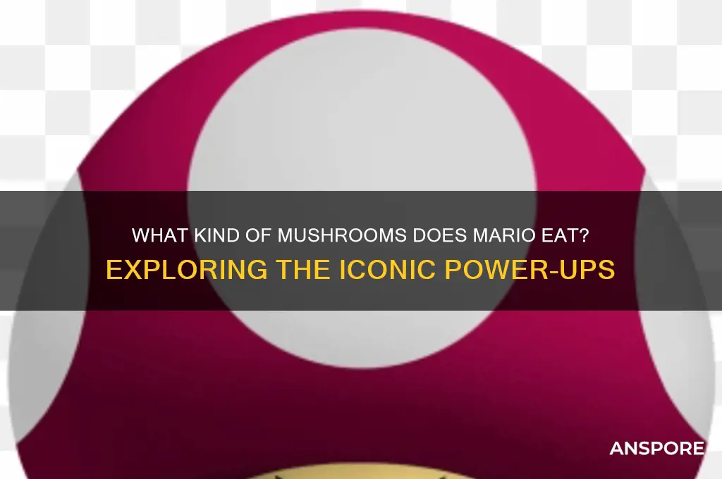 what kind of mushrooms does mario eat