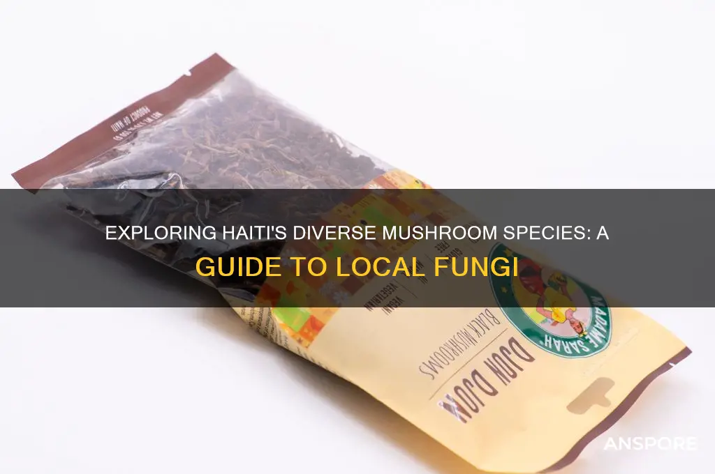 what kind of mushrooms grow in haiti