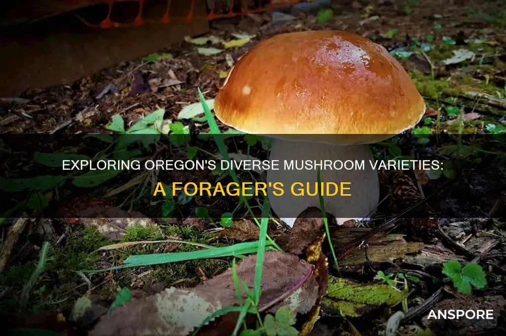 what kind of mushrooms grow in oregon