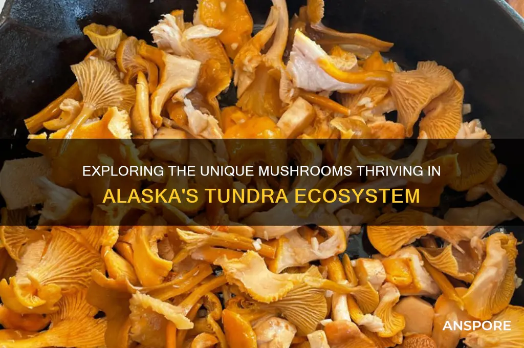what kind of mushrooms grow in the alaskan tundra