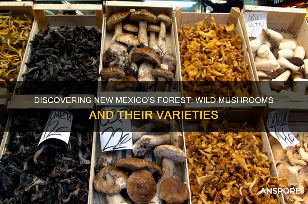 what kind of mushrooms grow in the nm forest