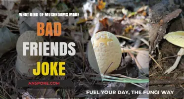 Toxic Mushrooms: Why Some Fungi Are the Worst Friends Ever