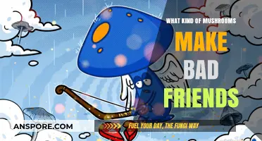 Toxic Companions: Mushrooms to Avoid in Nature and Relationships