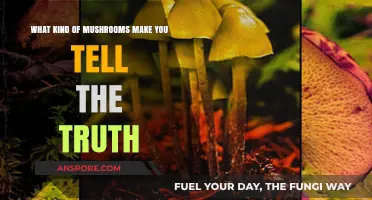 Unveiling Truth-Telling Mushrooms: Exploring Psychedelic Species and Their Effects