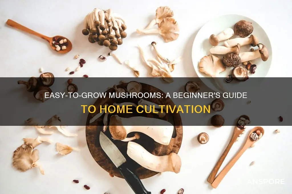 what kind of mushrooms to grow at home