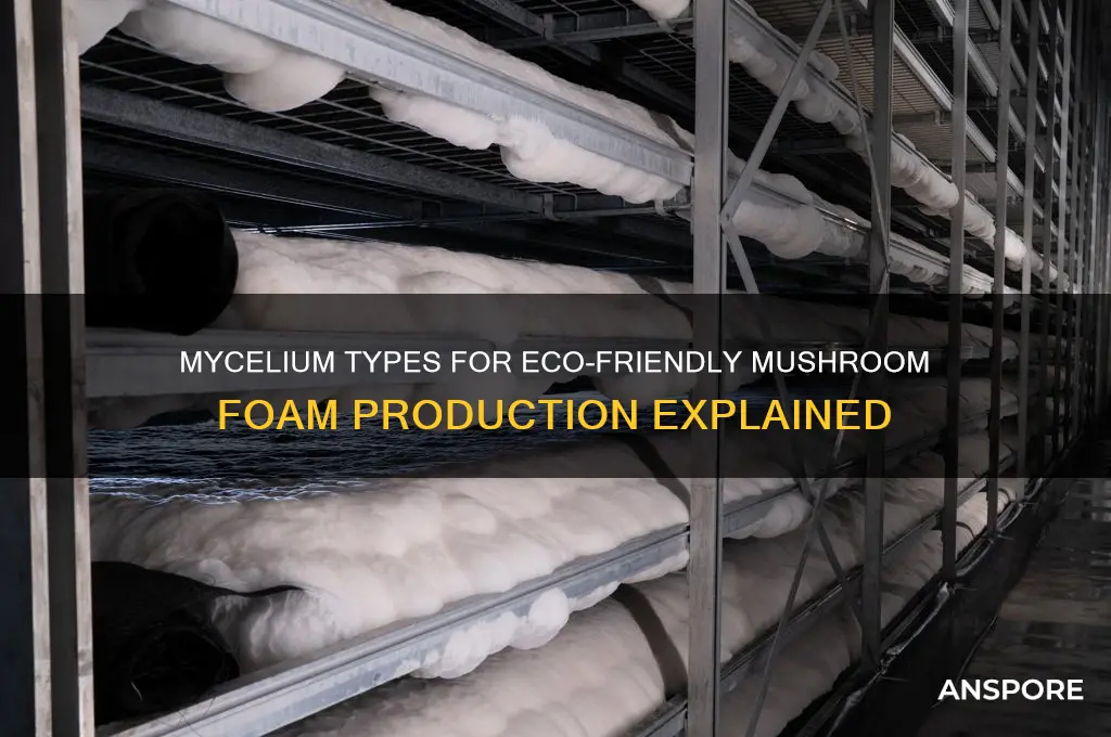 what kind of mycelium is used to make mushroom foam
