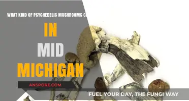 Exploring Psychedelic Mushrooms: Varieties Growing in Mid-Michigan's Forests