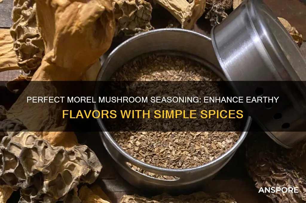 what kind of seasoning should i use for morel mushrooms