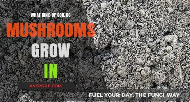 Ideal Soil Types for Mushroom Growth: A Comprehensive Guide