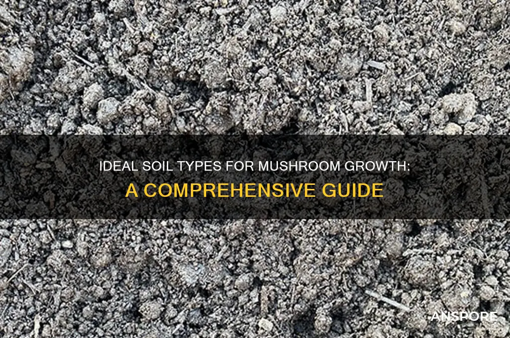 what kind of soil do mushrooms grow in