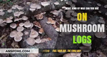 Best Wax Options for Preserving and Protecting Mushroom Logs