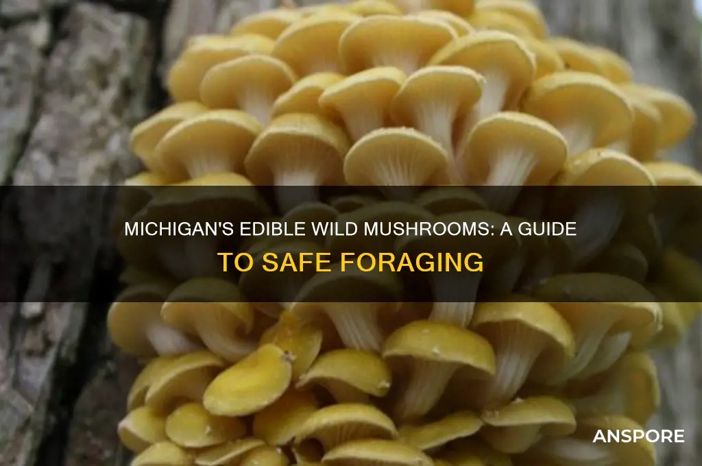 what kind of wild mushrooms in michigan can you eat