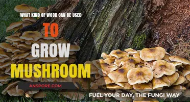 Best Wood Types for Growing Mushrooms: A Comprehensive Guide