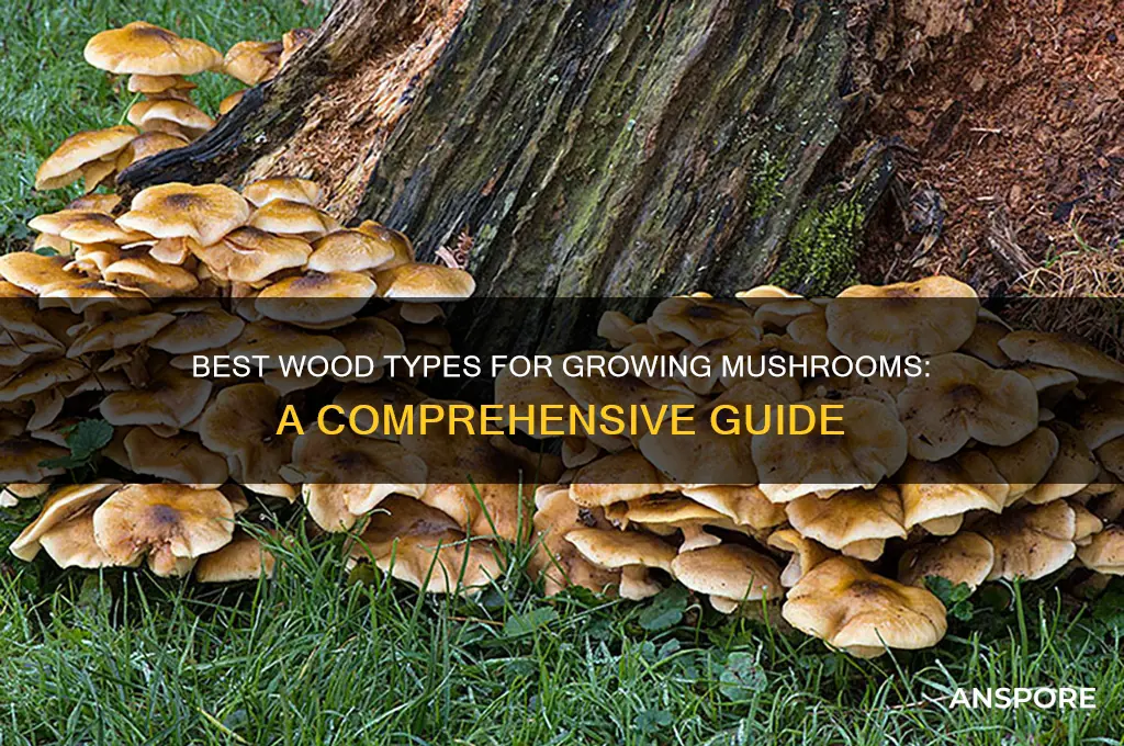 what kind of wood can be used to grow mushroom