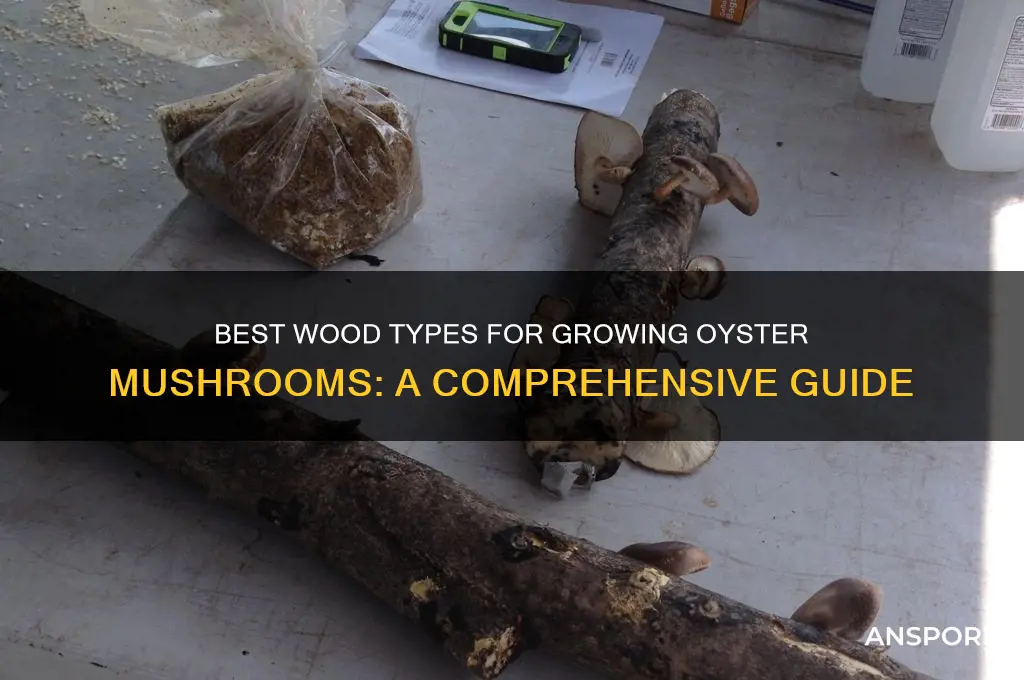 what kind of wood do oyster mushrooms grow on