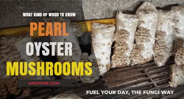 Best Wood Types for Growing Pearl Oyster Mushrooms at Home
