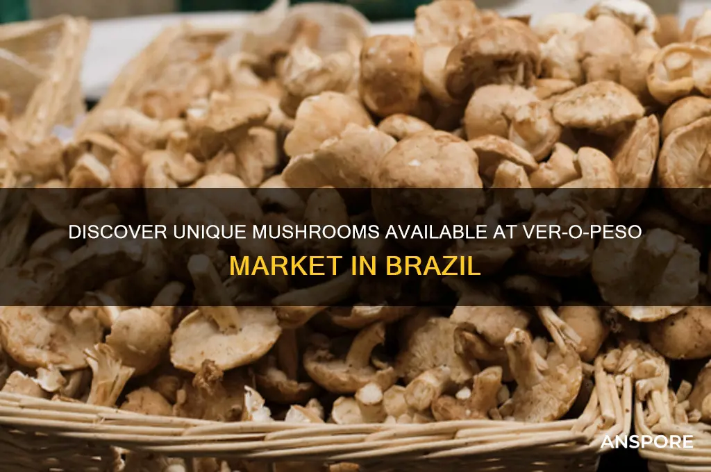 what kinds of mushrooms can you buy at the ver-o-peso
