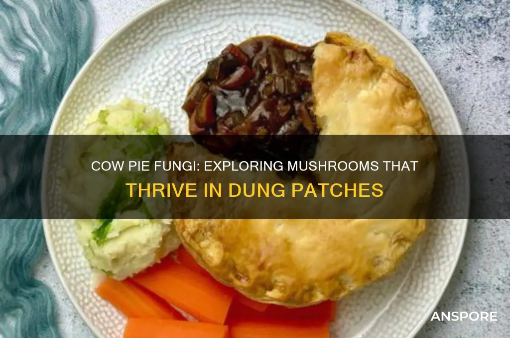 what kinds of mushrooms grow in cow pies