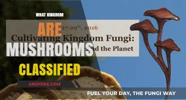 Mushrooms: A Kingdom of Their Own?